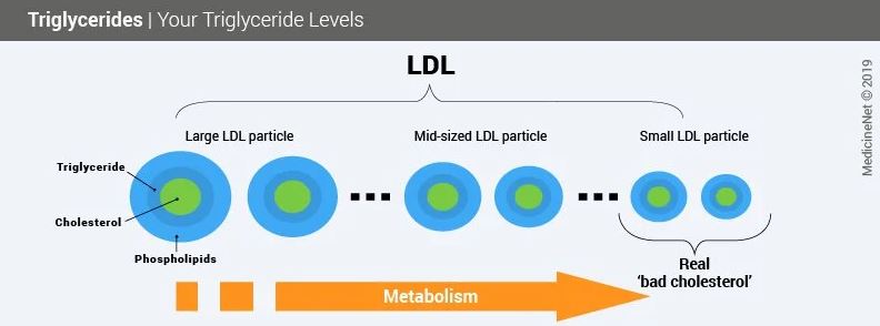 triglycerides standard