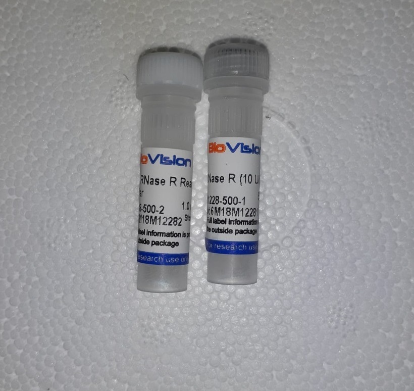 Biovision Rnase-R